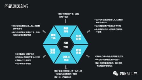 集团数据管控与数据治理解决方案